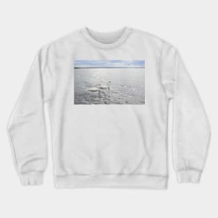 Romantic couple of swans on the Baltic sea Crewneck Sweatshirt